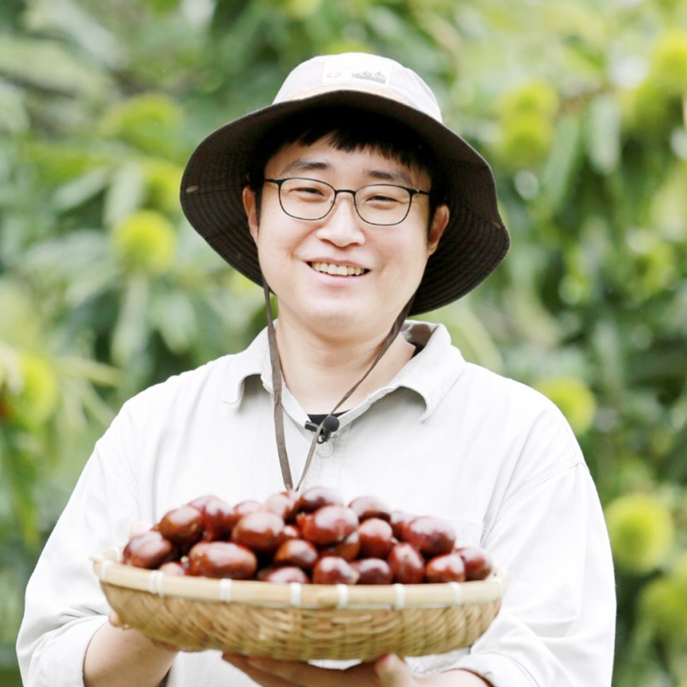 부여농부의 유기농 탈피밤 300g 유기농밤 산밤 약밤 부여알밤 부여밤