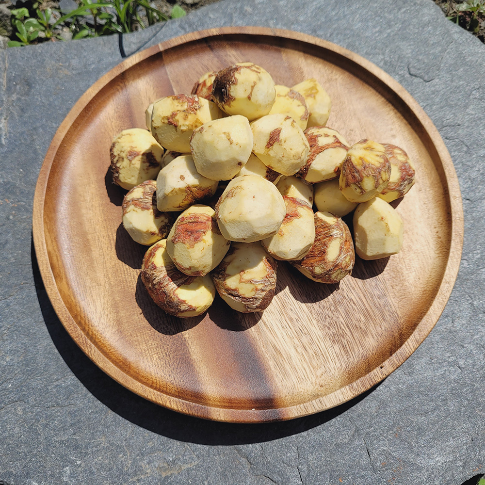 부여농부의 유기농 탈피밤 300g 유기농밤 산밤 약밤 부여알밤 부여밤