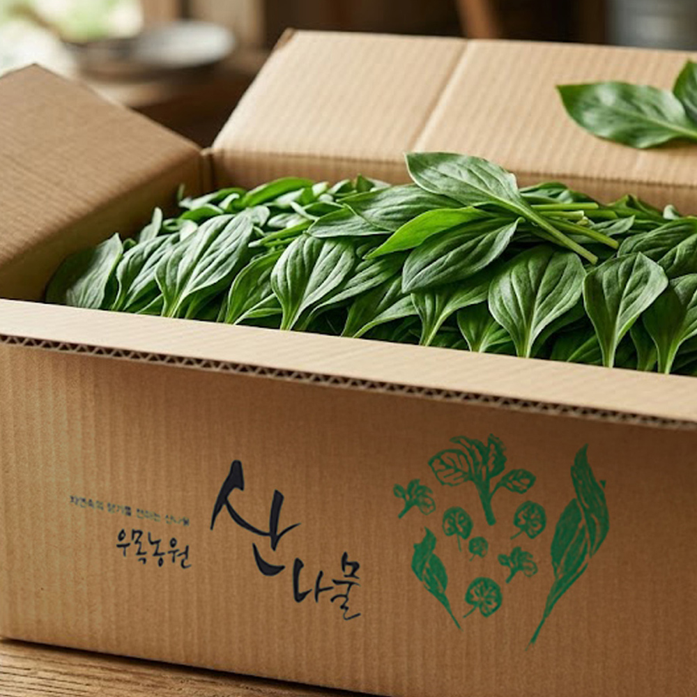 26년 강원도 화천 명이나물 산마늘 생명이나물 잎명이 울릉도종 산나물 생채 1kg [원산지:국산(강원도 화천군]