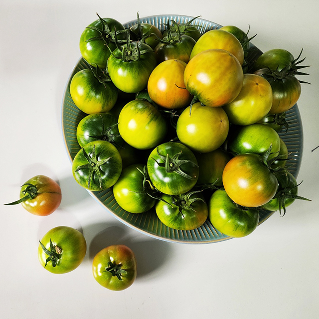 대저 짭짤이 토마토 1kg 2.5kg 국내산 부산 짭짜리토마토