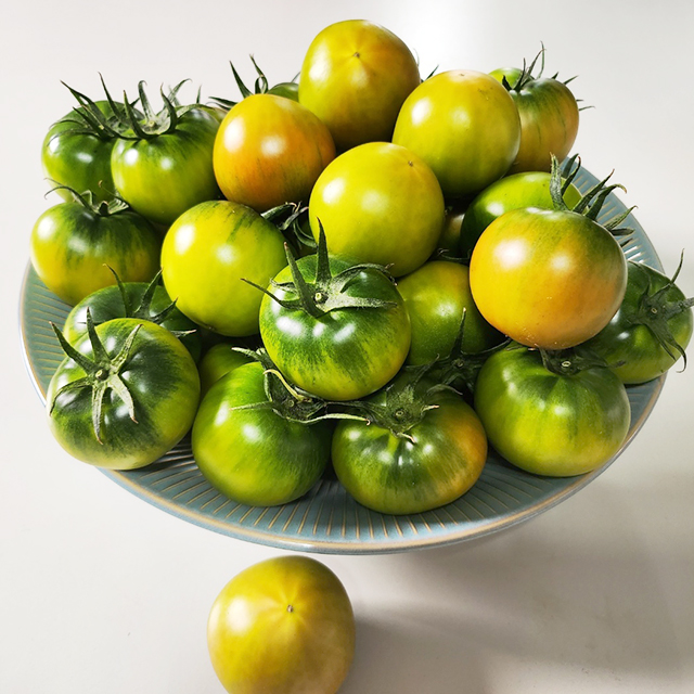 대저 짭짤이 토마토 1kg 2.5kg 국내산 부산 짭짜리토마토 대표이미지 섬네일