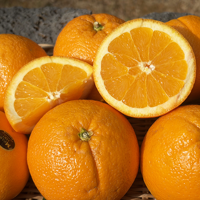 블랙라벨 오렌지 소과 중과 대과 특대과 고당도 수입 과일