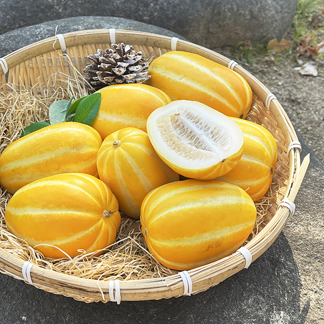 국산 가정용 성주참외 소과 중과 로얄과 대과 참외 과일 대표이미지 섬네일