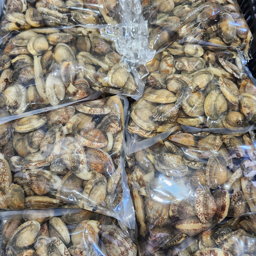 신선한 남해안 왕바지락 1kg 60미 내외