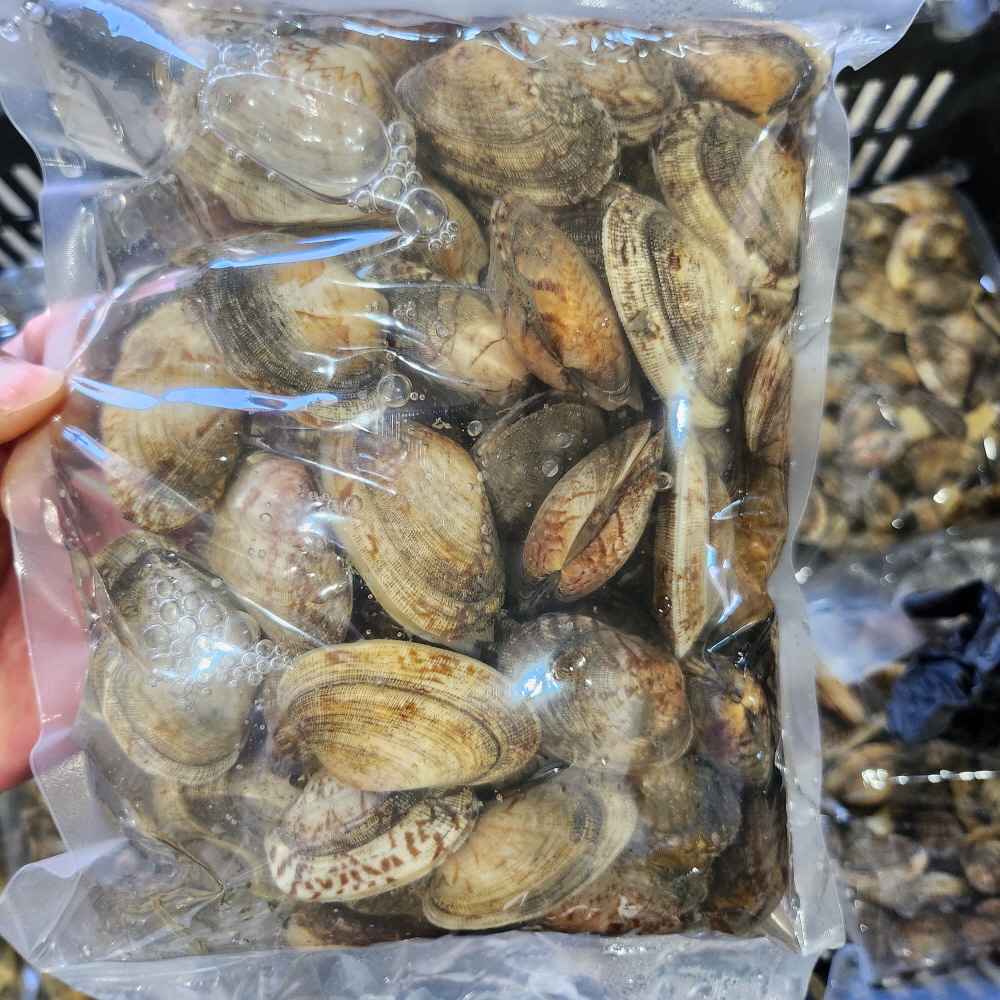 신선한 남해안 왕바지락 1kg 60미 내외