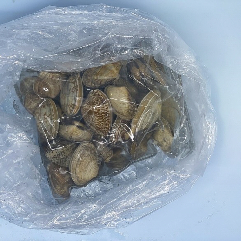 신선한 남해안 왕바지락 1kg 60미 내외