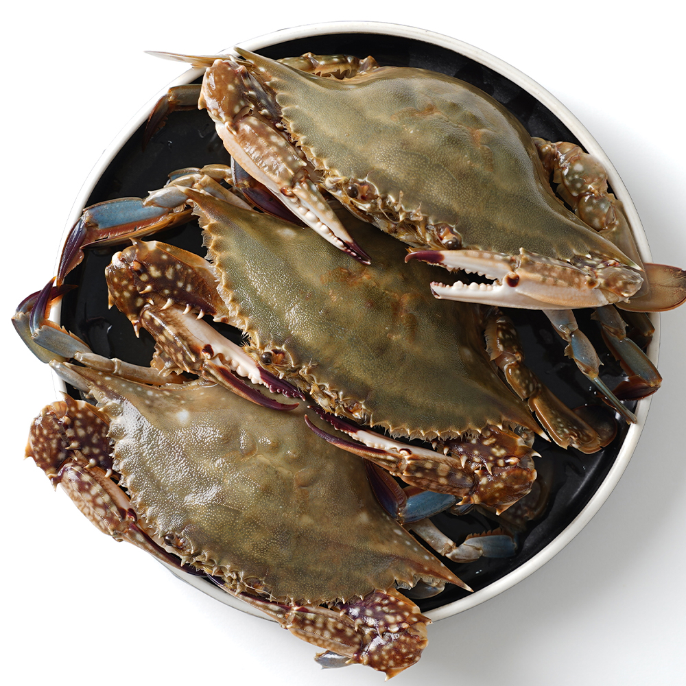 간장게장 연평도 암꽃게 알배기 꽃게장 암꽃게장 2kg 4kg