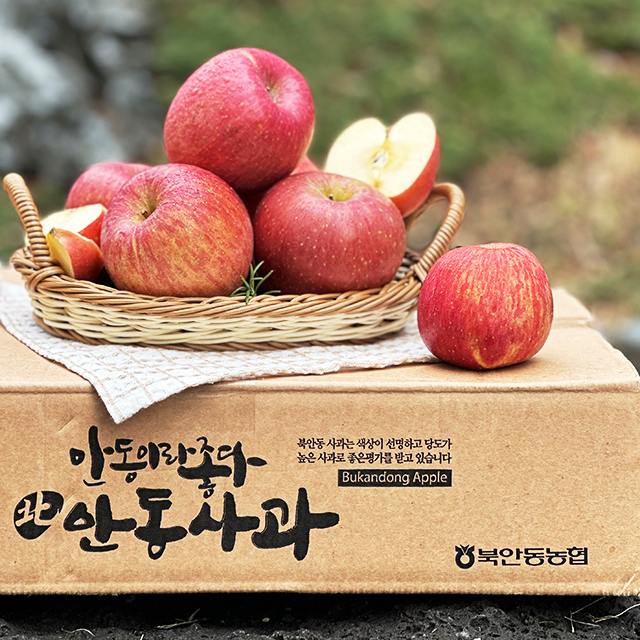 경북 사과 북안동 농협 부사 상품 2-4.5 kg 중소과 중과 대과