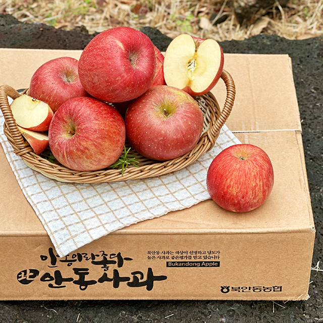 경북 사과 북안동 농협 부사 상품 2-4.5 kg 중소과 중과 대과 대표이미지 섬네일