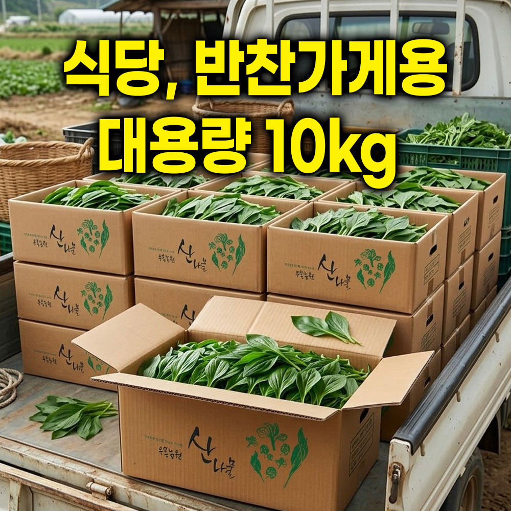 강원도 화천 명이나물 산마늘 생명이나물 잎명이 울릉도종 산나물 생채 10kg 대용량 식당 반찬가게용
