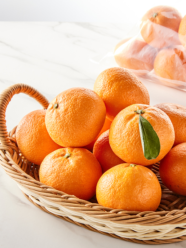 GAP 제주 카라향 1.3kg