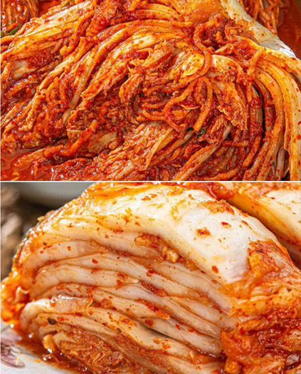 누리웰 국내산 포기김치 5kg