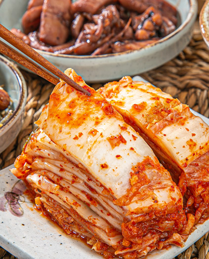 누리웰 국내산 포기김치 5kg