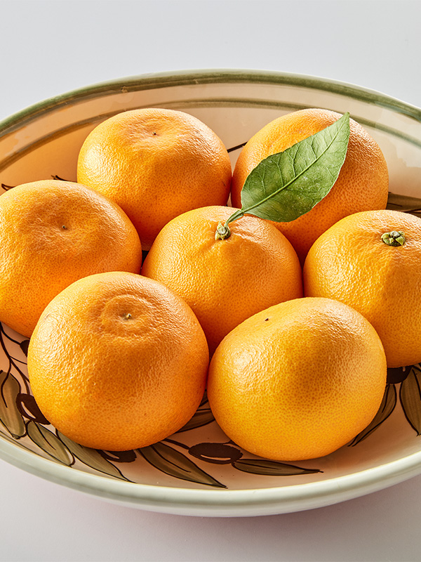 [맛보장] GAP 제주 천혜향 1kg