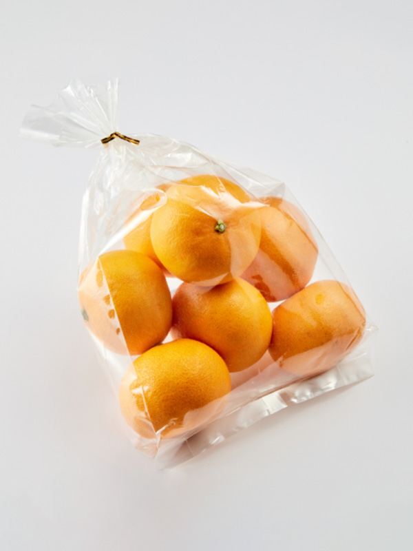 [맛보장] GAP 제주 천혜향 1kg