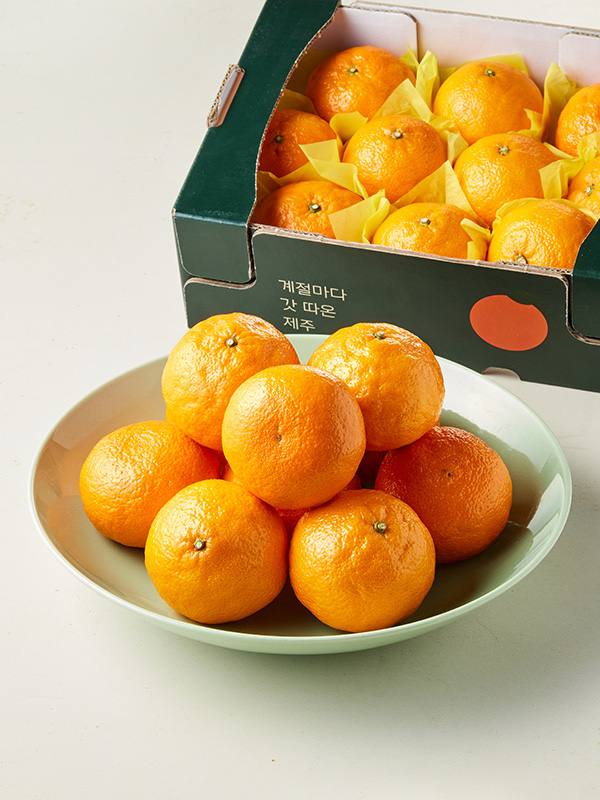 [특품] GAP 제주 카라향 2kg