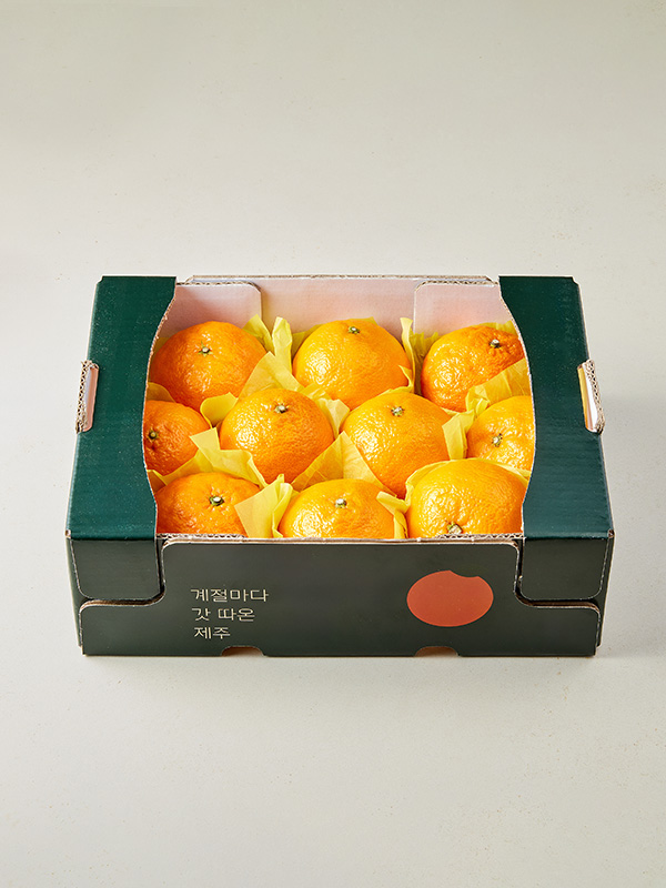 [특품] GAP 제주 카라향 2kg