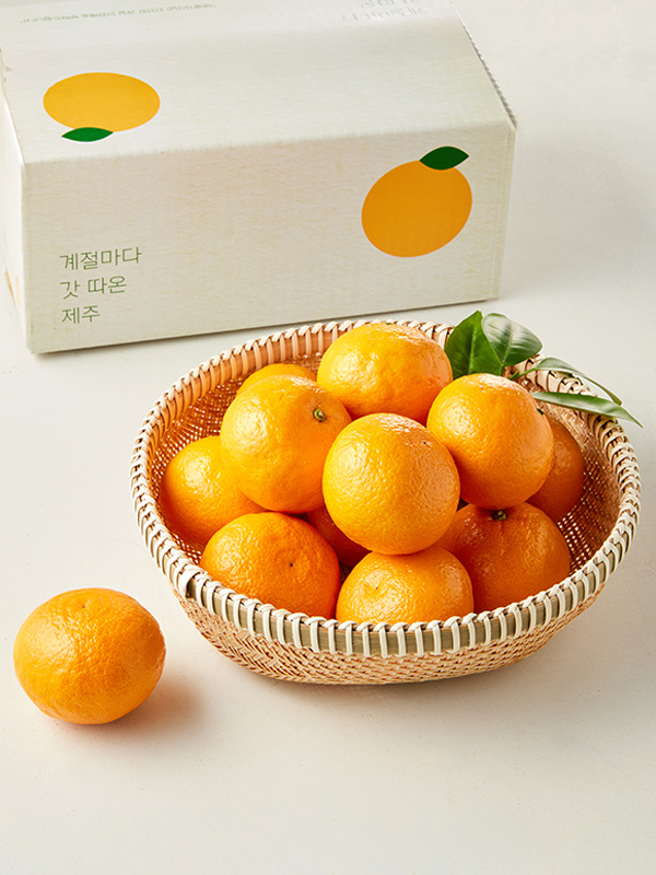 GAP 제주 카라향 1.5kg