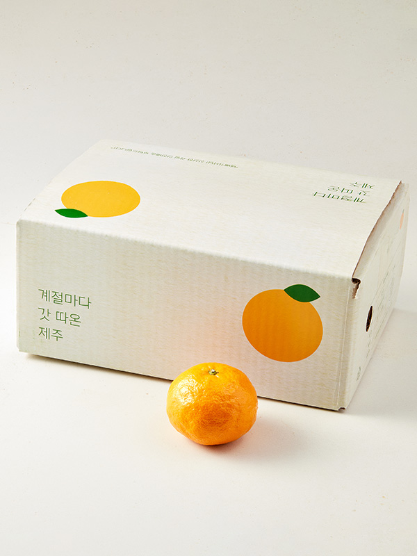 GAP 제주 카라향 1.5kg