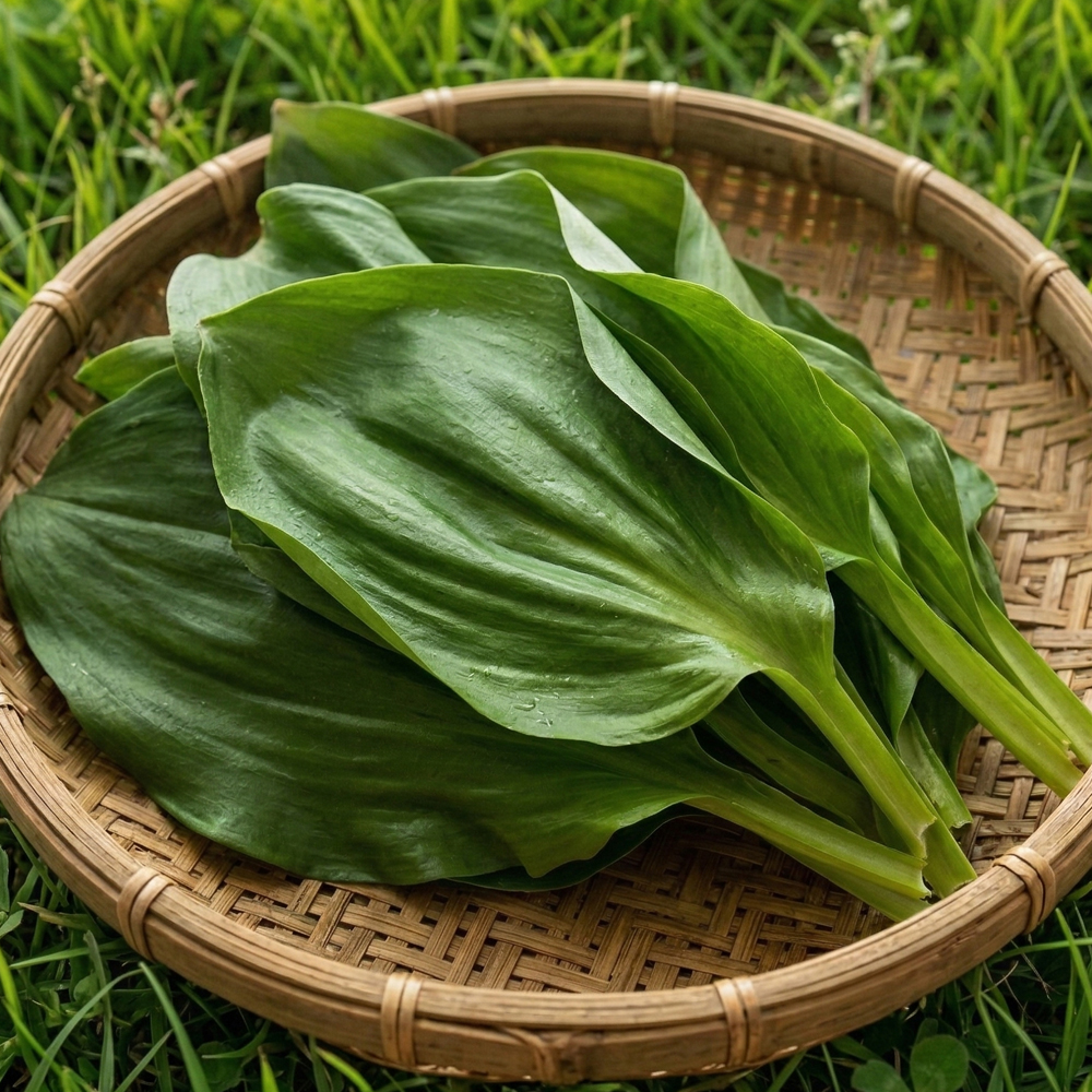 울릉도 생채 산마늘 명이나물 300g 500g 1kg 2kg 대표이미지 섬네일
