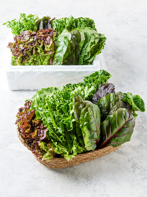 유기농 모듬쌈채소(1kg) 대표이미지 섬네일