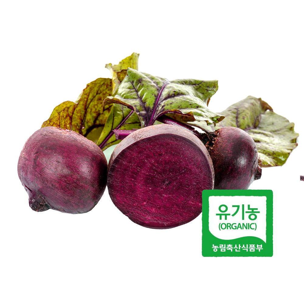 초록초록팜 유기농 비트 3kg 외 신선채소 산지직송 샐러드용 즙용 건강 야채 국내산 친환경 ZU 대표이미지 섬네일
