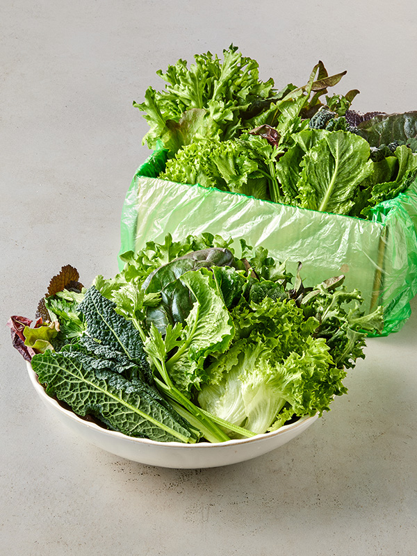 GAP 모듬쌈채소(600g)