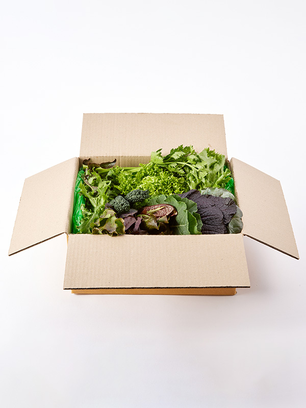 GAP 모듬쌈채소(600g)