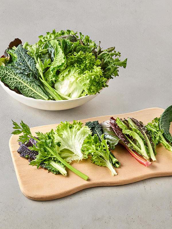 GAP 모듬쌈채소(600g) 대표이미지 섬네일