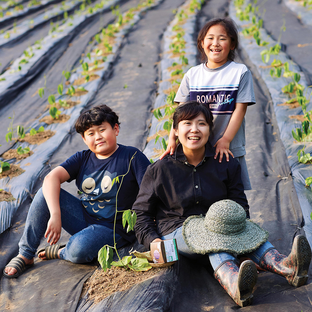 에코프리베 돼지감자차(뚱딴지차) 티백 30g (1.5gx20ea) 저온 다회 덖음차 [ECOFRIBAE]