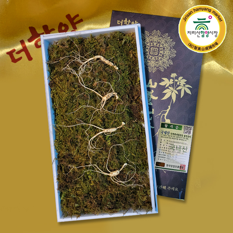 [지리산함양시장] 유진웰빙식품 산양삼 5뿌리(7-8년)
