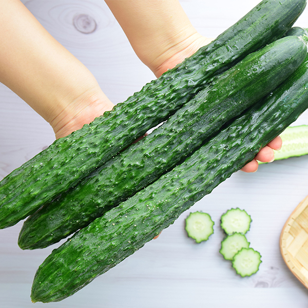 [오커최고] 청량 가시오이 수분 가득 오이 1kg 2kg 대표이미지 섬네일