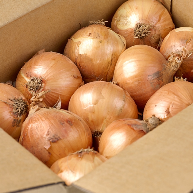 [오커최고] 양파 햇 하얀양파 2kg 3kg 5kg