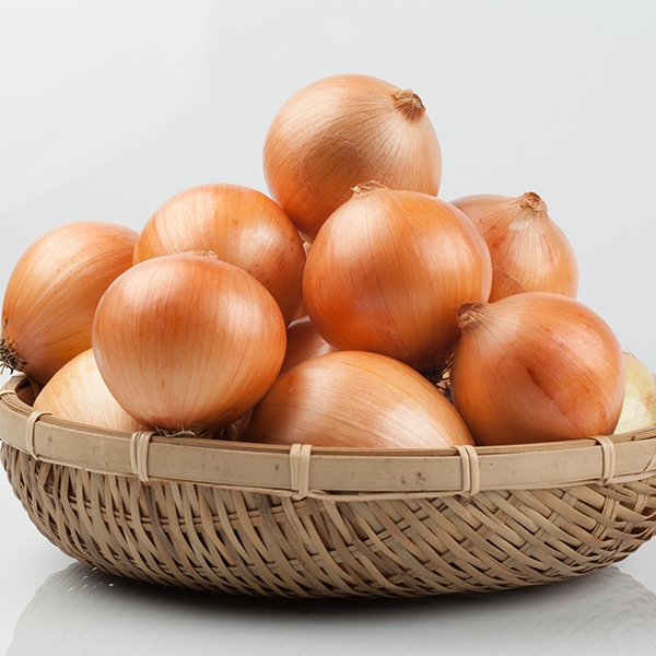 [오커최고] 양파 햇 하얀양파 2kg 3kg 5kg 대표이미지 섬네일