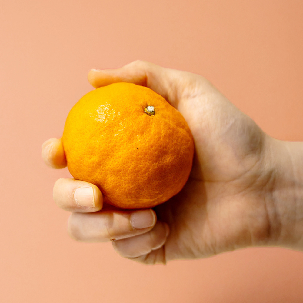 서귀포 GAP인증 AI당도선별 카라향 1.5kg 외 실속형 산지직송 LD