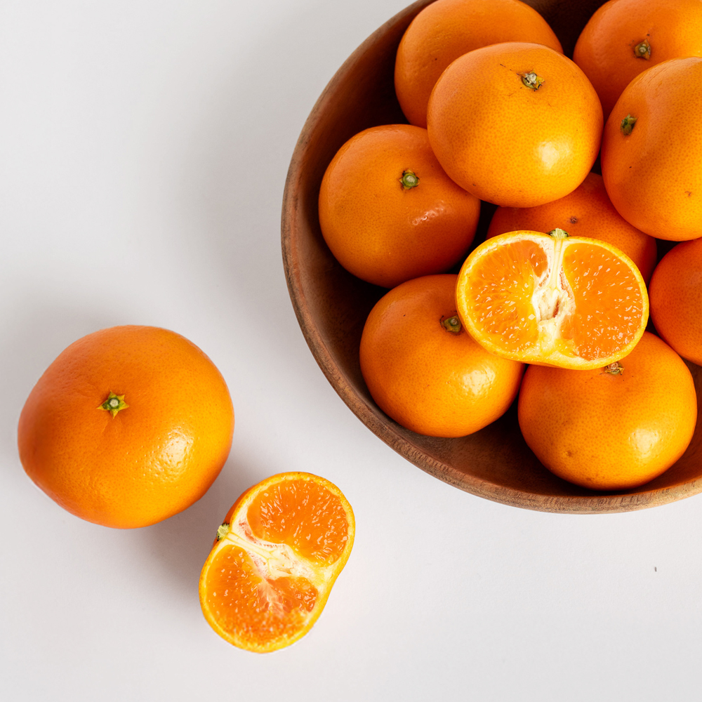 서귀포 GAP인증 AI당도선별 진지향 1.5kg 외 실속형 산지직송 LD