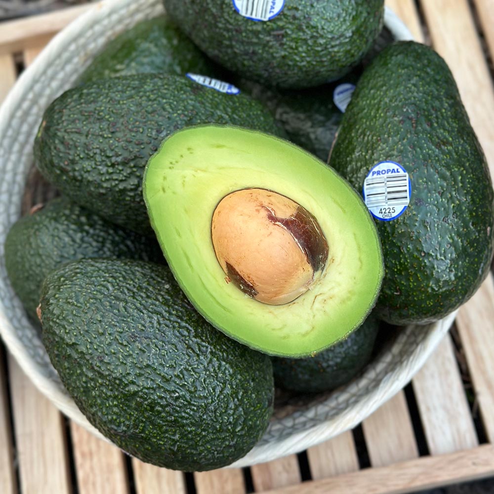 칠레 페루산 아보카도 중대과 5과 10과