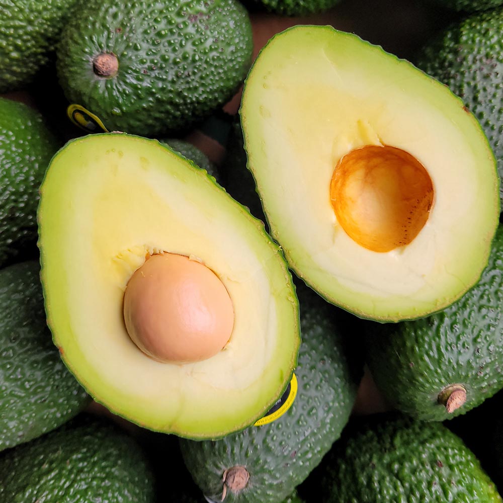 칠레 페루산 아보카도 중대과 5과 10과