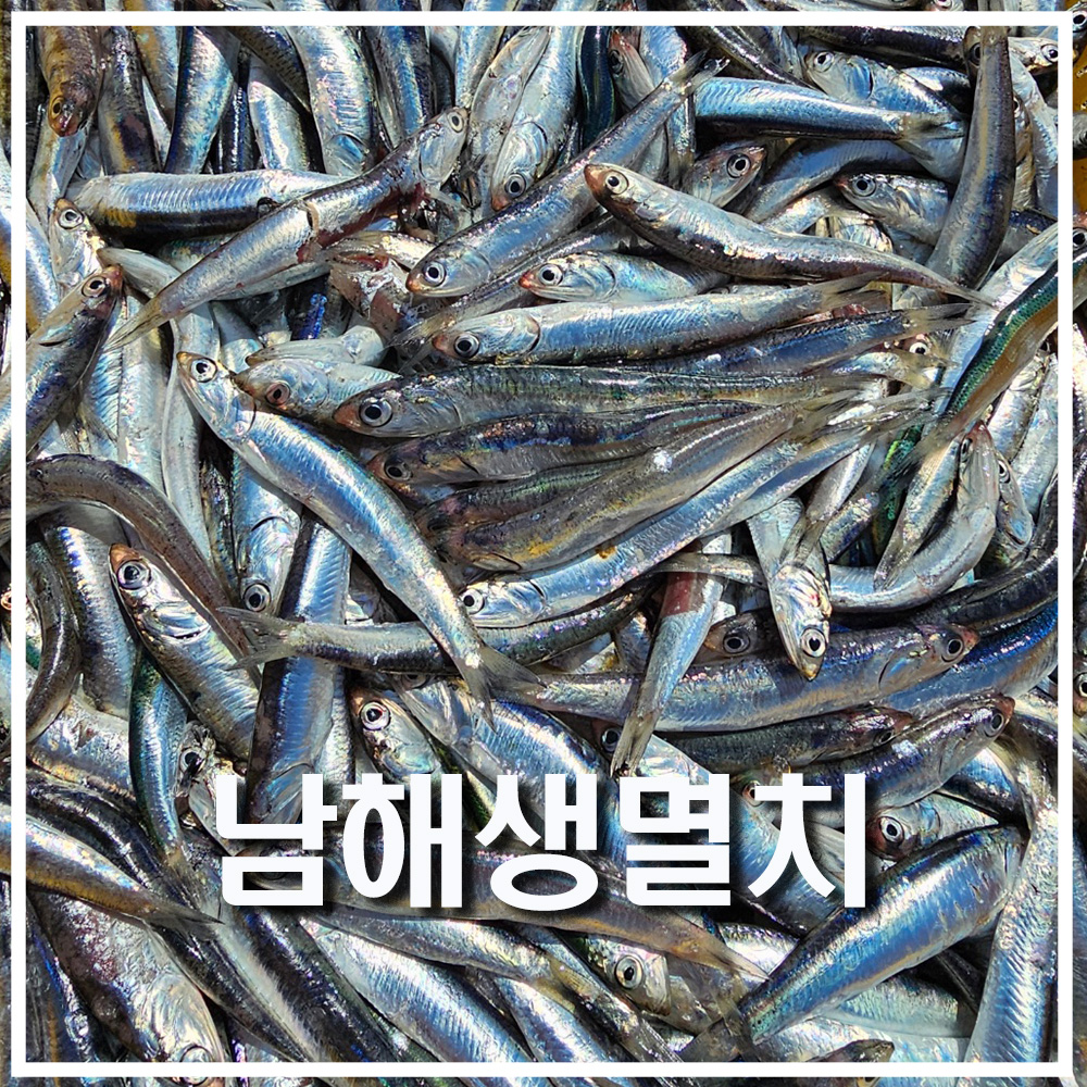남해 바다 보물섬 해녀 언니네 손질 생 멸치 급냉 500g 산지직송 멸치 쌈밥