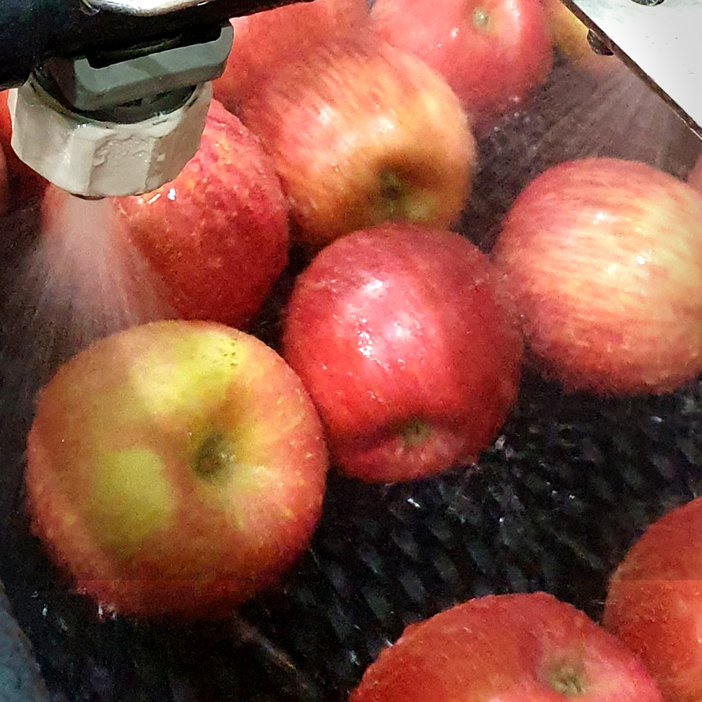 경북 부사 세척사과 가정용 2kg 외 개별포장 산지직송