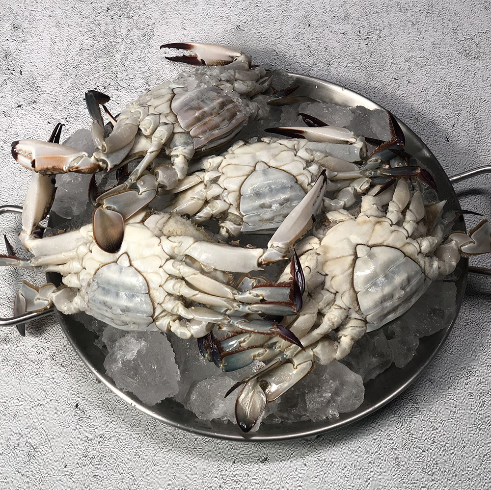 [오커늘푸] 활꽃게 암꽃게 생물 꽃게 1~3kg