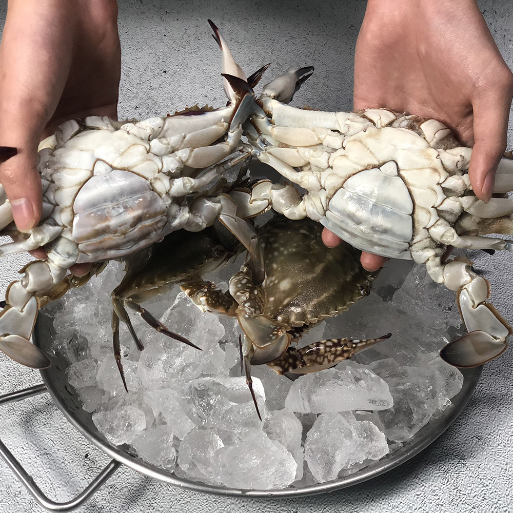 [오커늘푸] 활꽃게 암꽃게 생물 꽃게 1~3kg