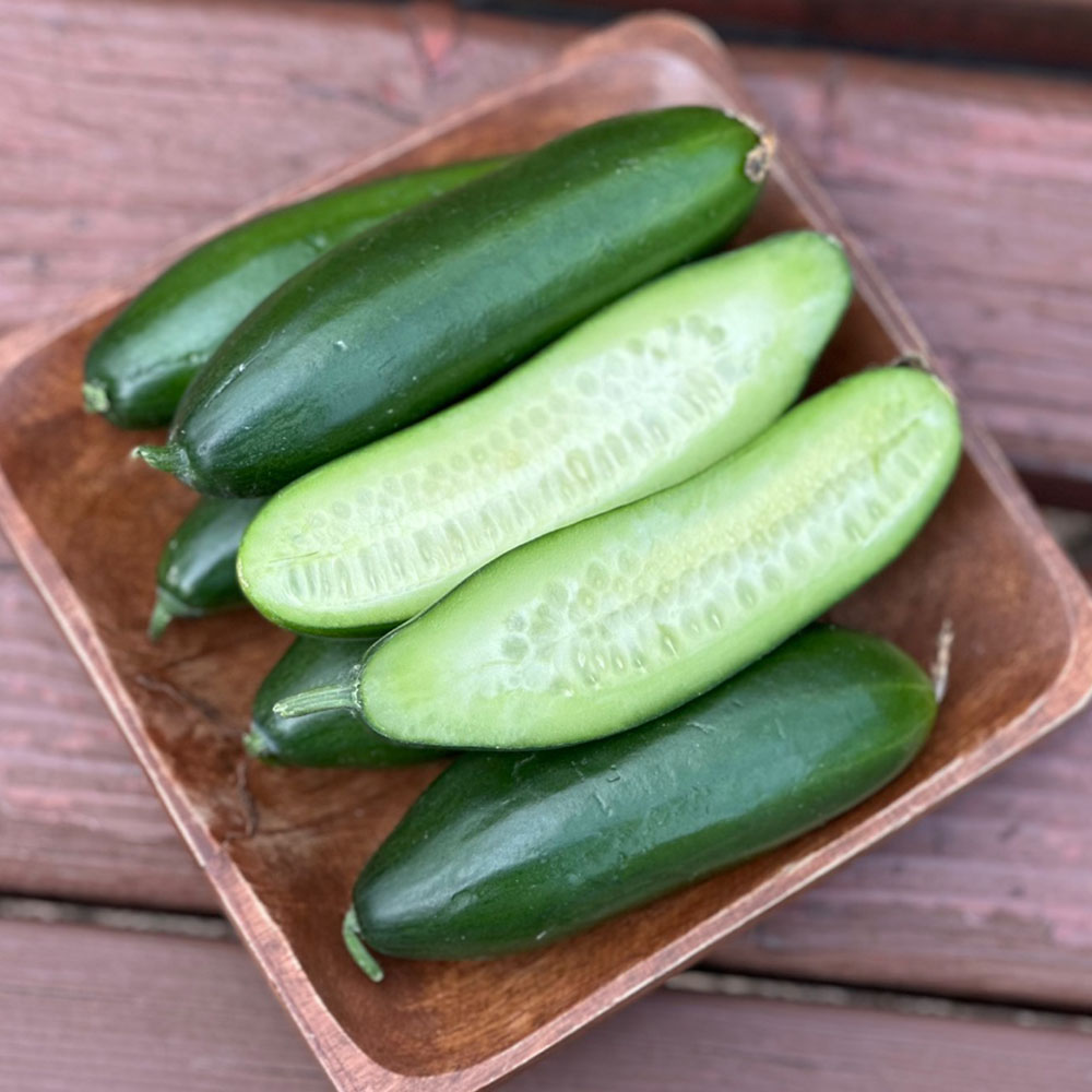 국내산 스낵 미니오이 1-5kg