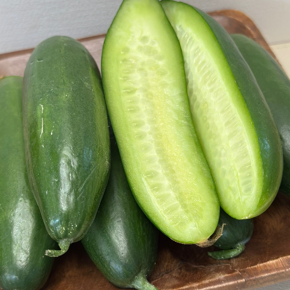 국내산 스낵 미니오이 1-5kg 대표이미지 섬네일
