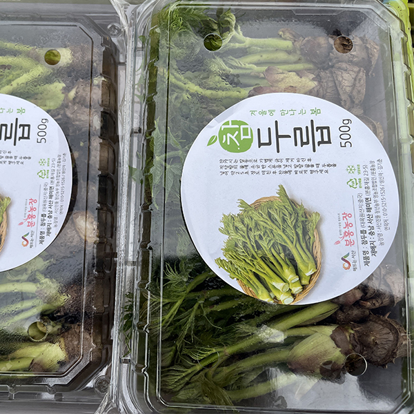 [오커늘푸] 봄기운 참두릅 향긋한 참두릅