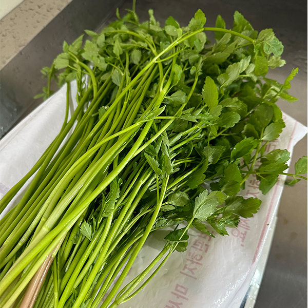 [오커최고] 무농약 미나리 한재 미나리 500g 1kg