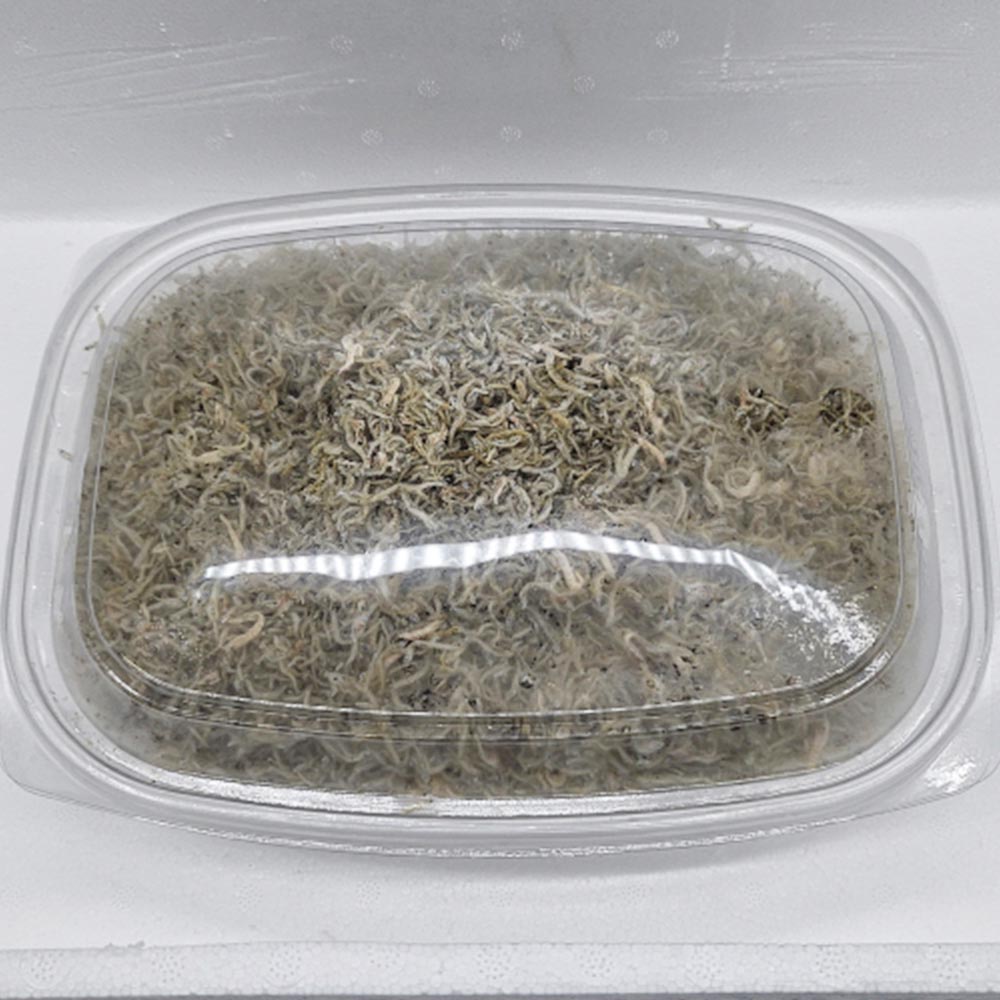 국내산 잔멸치 지리멸치 1팩당 500g 1-3팩