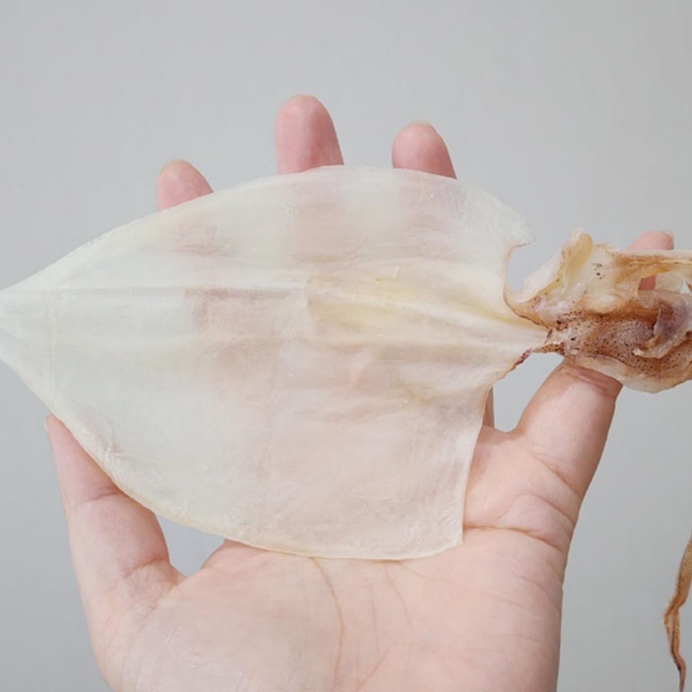 건어물 A급 반건조 한치 5미  10미