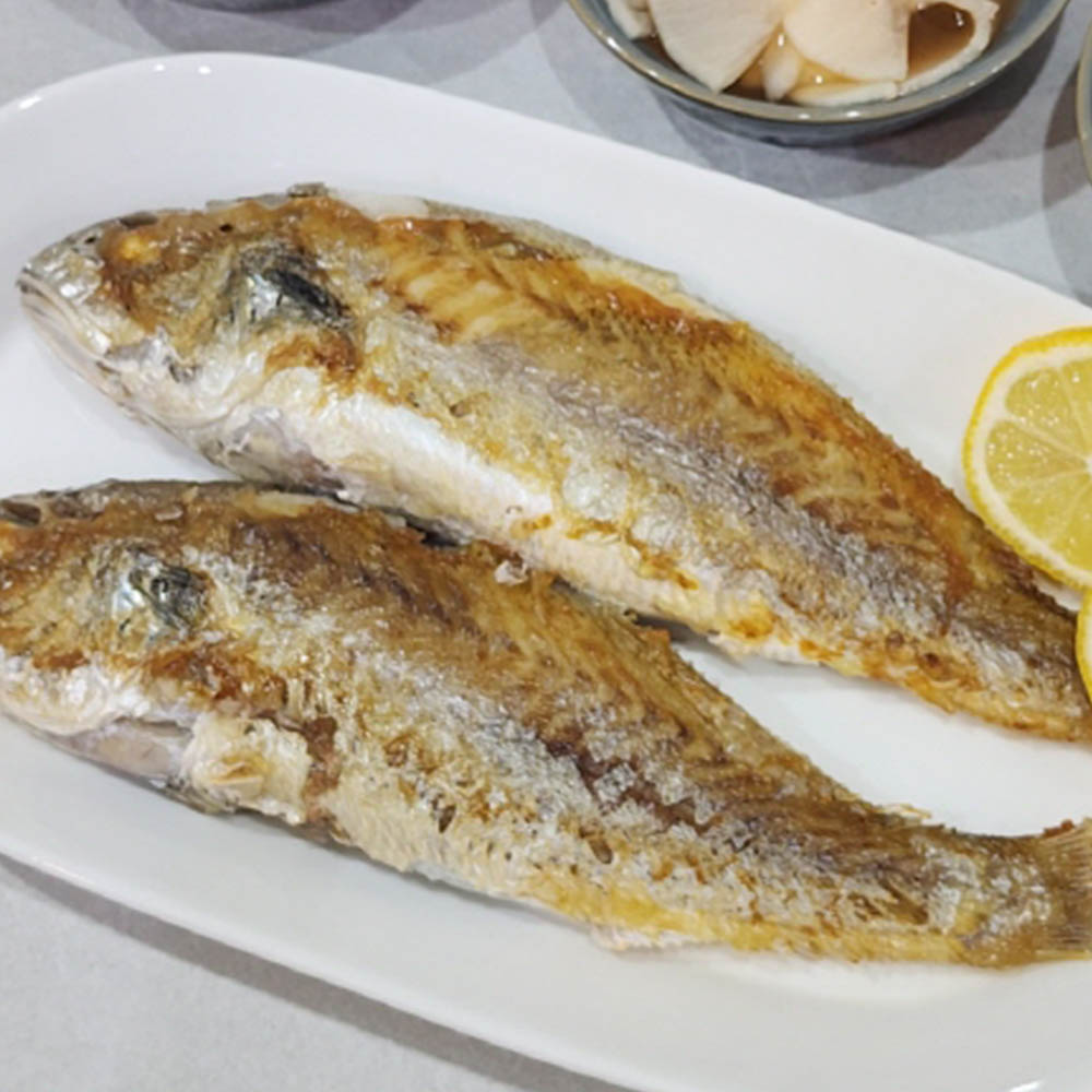 국내산 백조기 1-2kg 7-24미 내외