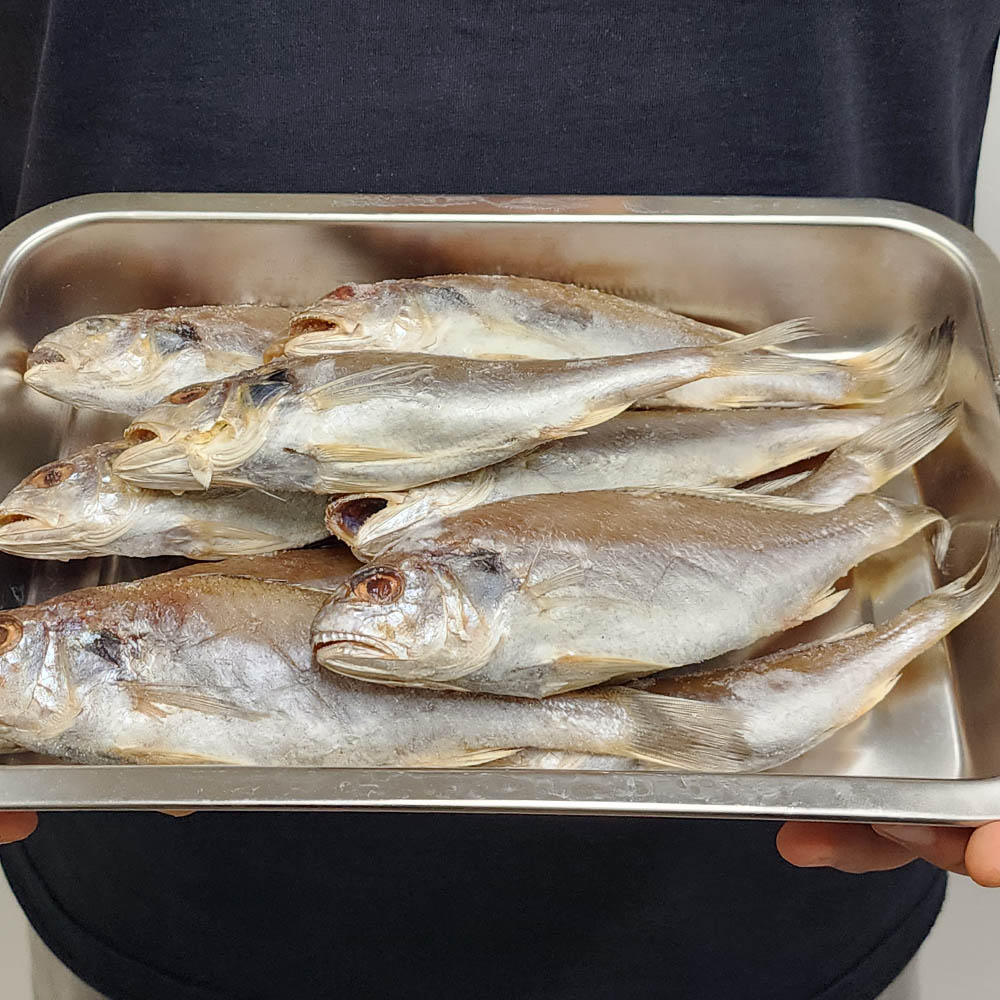 국내산 백조기 1-2kg 7-24미 내외
